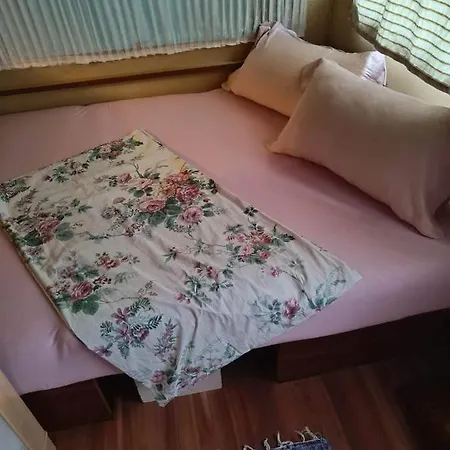 Ferienhaus Lady House 2. *